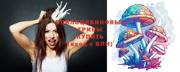 трава Арсеньев